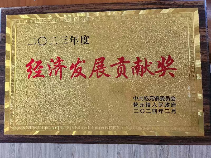 经济发展贡献奖